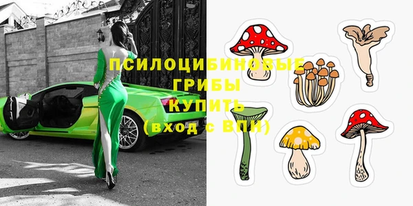 ГАЛЛЮЦИНОГЕННЫЕ ГРИБЫ Абинск
