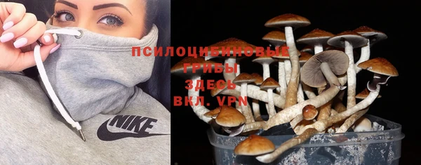 гашик Абаза